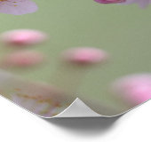 Cherry Blossom Blume Poster (Ecke)