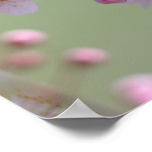Cherry Blossom Blume Poster (Ecke)