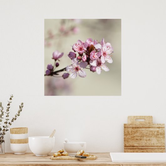 Cherry Blossom Blume Poster (Küche)
