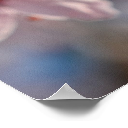 Cherry Blossom Blume Poster (Ecke)