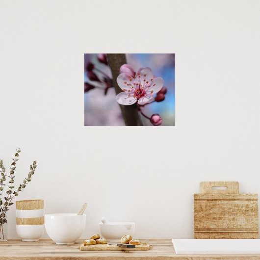 Cherry Blossom Blume Poster (Küche)