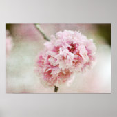 Cherry Blossom Botanical Poster (Vorne)
