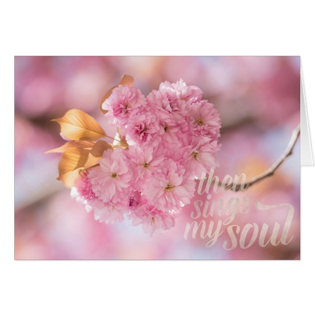 Cherry Blossom Branch Spring Text (Vorderseite (Horizontal))