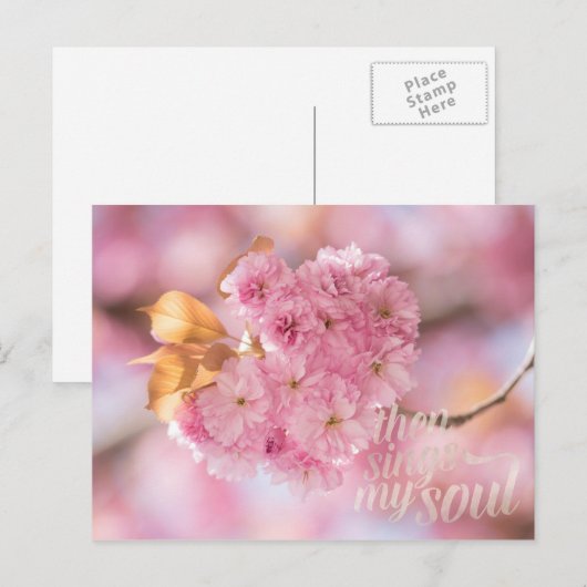Cherry Blossom Branch Spring Text Postkarte (Vorne/Hinten)