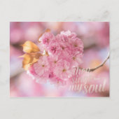 Cherry Blossom Branch Spring Text Postkarte (Vorderseite)