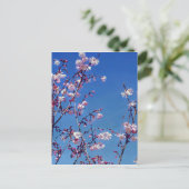 Cherry Blossom Branches Postkarte (Stehend Vorderseite)