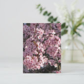Cherry Blossom Bundle Postkarte (Stehend Vorderseite)