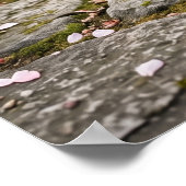 Cherry Blossom Cat Serenity Poster (Ecke)