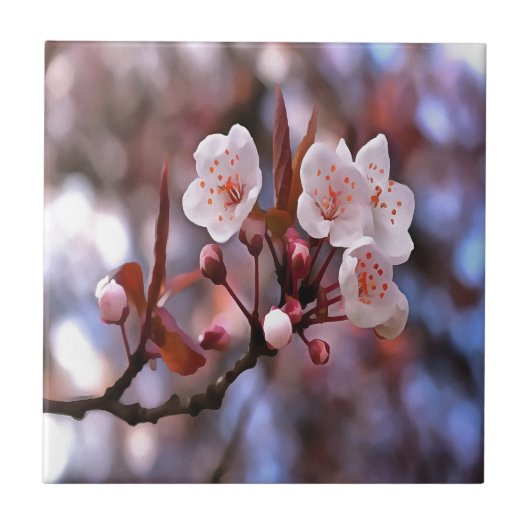 Cherry Blossom Cluster mit rosa und blau Fliese (Vorderseite)