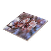 Cherry Blossom Cluster mit rosa und blau Fliese (Seite)