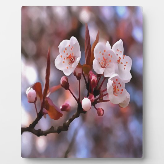Cherry Blossom Cluster mit rosa und blau Fotoplatte (Vorderseite)