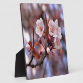 Cherry Blossom Cluster mit rosa und blau Fotoplatte (Seite)