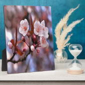 Cherry Blossom Cluster mit rosa und blau Fotoplatte (Seite)