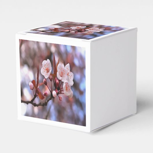 Cherry Blossom Cluster mit rosa und blau Geschenkschachtel (Vorderseite)