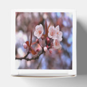 Cherry Blossom Cluster mit rosa und blau Geschenkschachtel (Oben)