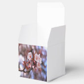 Cherry Blossom Cluster mit rosa und blau Geschenkschachtel (Geöffnet)