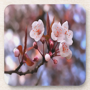 Cherry Blossom Cluster mit rosa und blau Getränkeuntersetzer