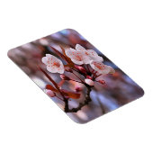 Cherry Blossom Cluster mit rosa und blau Magnet (Rechte Seite)