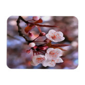 Cherry Blossom Cluster mit rosa und blau Magnet (Horizontal)