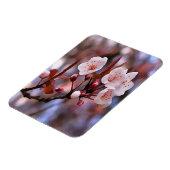 Cherry Blossom Cluster mit rosa und blau Magnet (Linke Seite)