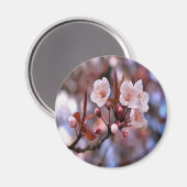 Cherry Blossom Cluster mit rosa und blau Magnet (Vorderseite/Rückseite)
