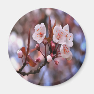 Cherry Blossom Cluster mit rosa und blau Magnet