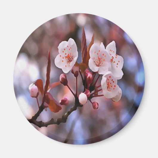 Cherry Blossom Cluster mit rosa und blau Magnet (Vorne)