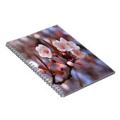 Cherry Blossom Cluster mit rosa und blau Notizblock (Rechte Seite)
