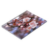 Cherry Blossom Cluster mit rosa und blau Notizblock (Linke Seite)