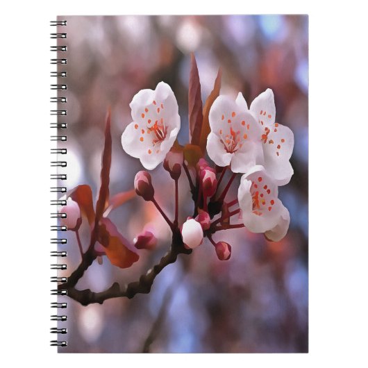Cherry Blossom Cluster mit rosa und blau Notizblock (Vorderseite)
