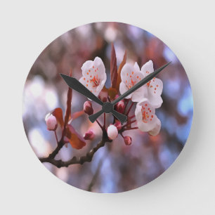 Cherry Blossom Cluster mit rosa und blau Runde Wanduhr