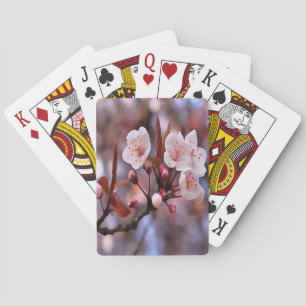 Cherry Blossom Cluster mit rosa und blau Spielkarten