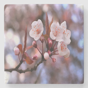 Cherry Blossom Cluster mit rosa und blau Steinuntersetzer