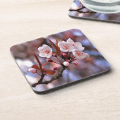 Cherry Blossom Cluster mit rosa und blau Untersetzer (Linke Seite)