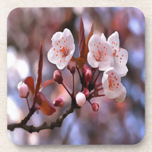 Cherry Blossom Cluster mit rosa und blau Untersetzer
