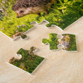 Cherry Blossom Cottage by the Garden Pond Puzzle (Seite)