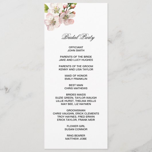 Cherry Blossom Double Sided Flat Program Programm (Rückseite)