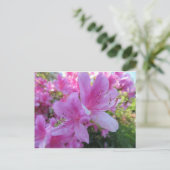 Cherry Blossom Duo Postkarte (Stehend Vorderseite)