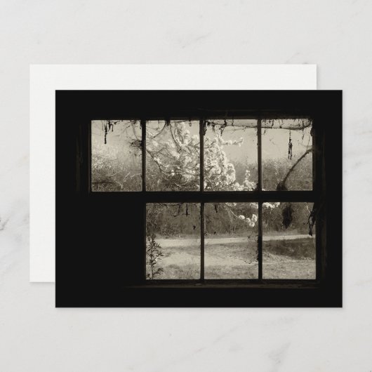 Cherry Blossom durch eine alte Barn-Fenster-Postka Postkarte (Vorne/Hinten)