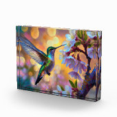 Cherry Blossom Fantasy Hummingbird Fotoblock (Rechts)