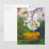 Cherry Blossom Fantasy Postkarte (Vorne/Hinten)