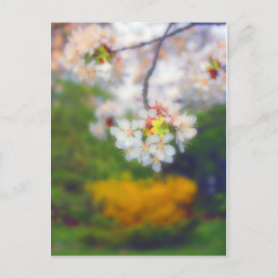 Cherry Blossom Fantasy Postkarte
