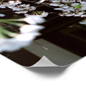 Cherry Blossom Festival: Hirano Shrine, Kyōto Poster (Ecke)