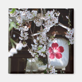 Cherry Blossom Festival in Kyoto Magnet (Vorne)