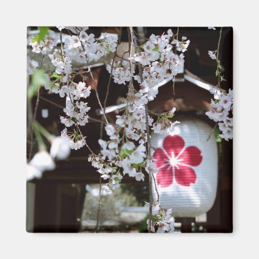 Cherry Blossom Festival in Kyoto Magnet (Vorne)