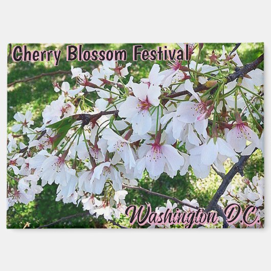Cherry Blossom Festival Washington D.C. Magnet (Vorderseite)