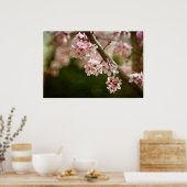 Cherry Blossom Flowers Poster (Küche)