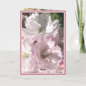 Cherry Blossom Foto mit hellrosa und weißer Karte (Rückseite)