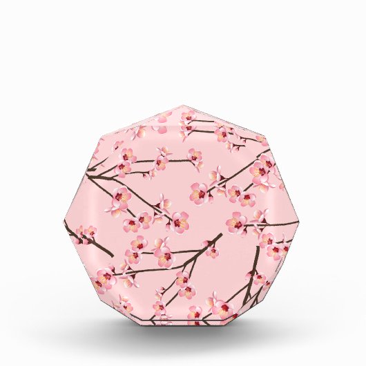 Cherry Blossom Fotoblock (Vorderseite)