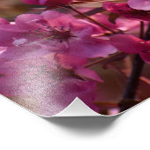 Cherry Blossom Fotodruck (Ecke)
